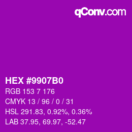 颜色代码: HEX #9907B0 | qconv.com