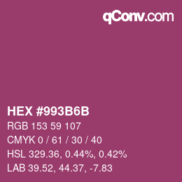 Color code: HEX #993B6B | qconv.com