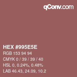 Color code: HEX #995E5E | qconv.com