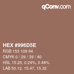 Color code: HEX #996D5E | qconv.com