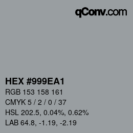 Color code: HEX #999EA1 | qconv.com