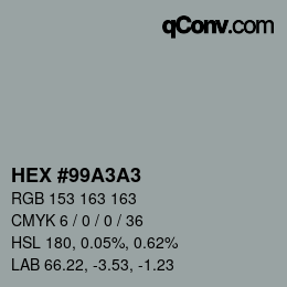 颜色代码: HEX #99A3A3 | qconv.com
