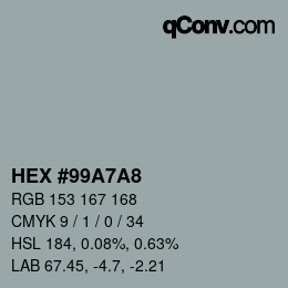 Color code: HEX #99A7A8 | qconv.com