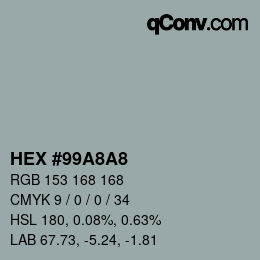 Color code: HEX #99A8A8 | qconv.com