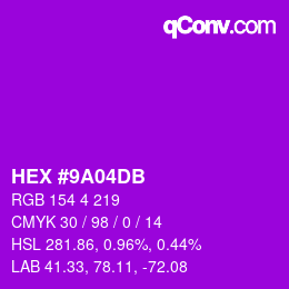 Color code: HEX #9A04DB | qconv.com