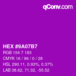 Color code: HEX #9A07B7 | qconv.com
