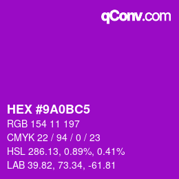 Color code: HEX #9A0BC5 | qconv.com