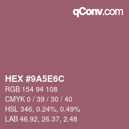 Color code: HEX #9A5E6C | qconv.com