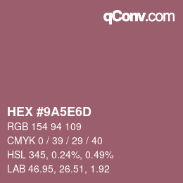 Color code: HEX #9A5E6D | qconv.com