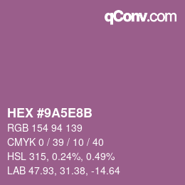Color code: HEX #9A5E8B | qconv.com