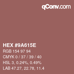 Color code: HEX #9A615E | qconv.com