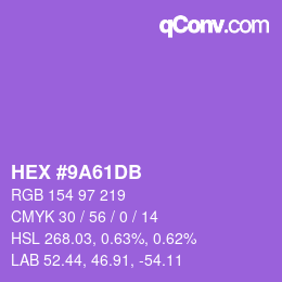 Color code: HEX #9A61DB | qconv.com