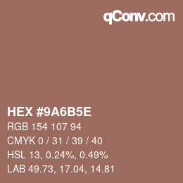 Color code: HEX #9A6B5E | qconv.com