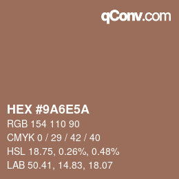 Color code: HEX #9A6E5A | qconv.com