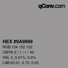 Color code: HEX #9A9898 | qconv.com