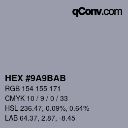Color code: HEX #9A9BAB | qconv.com