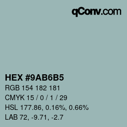 Color code: HEX #9AB6B5 | qconv.com