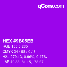 Color code: HEX #9B05EB | qconv.com