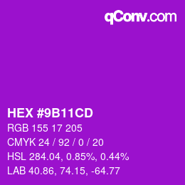 Código de color: HEX #9B11CD | qconv.com