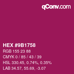 Color code: HEX #9B1758 | qconv.com