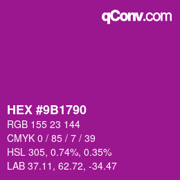 Color code: HEX #9B1790 | qconv.com