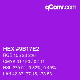 Color code: HEX #9B17E2 | qconv.com