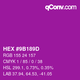 颜色代码: HEX #9B189D | qconv.com