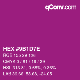 Color code: HEX #9B1D7E | qconv.com