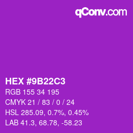 Color code: HEX #9B22C3 | qconv.com