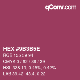 Color code: HEX #9B3B5E | qconv.com