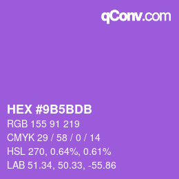 Color code: HEX #9B5BDB | qconv.com