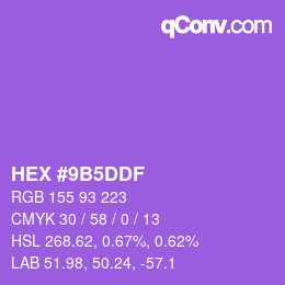 Color code: HEX #9B5DDF | qconv.com