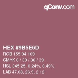 Color code: HEX #9B5E6D | qconv.com
