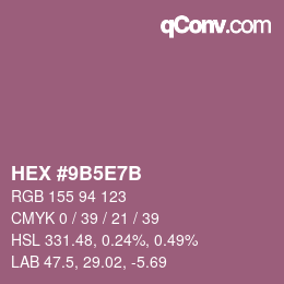 Color code: HEX #9B5E7B | qconv.com