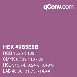 Color code: HEX #9B5E8B | qconv.com