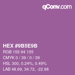 Color code: HEX #9B5E9B | qconv.com