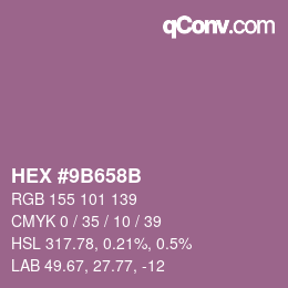 Código de color: HEX #9B658B | qconv.com