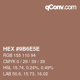 Color code: HEX #9B6E5E | qconv.com