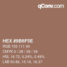 Color code: HEX #9B6F5E | qconv.com