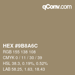 颜色代码: HEX #9B8A6C | qconv.com