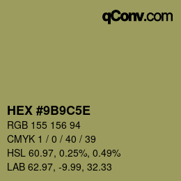 Color code: HEX #9B9C5E | qconv.com