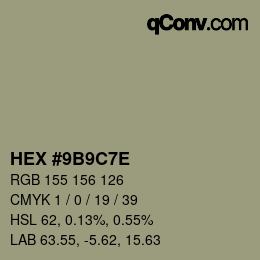 Color code: HEX #9B9C7E | qconv.com