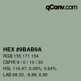 Color code: HEX #9BAB9A | qconv.com