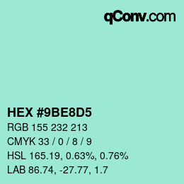 Color code: HEX #9BE8D5 | qconv.com