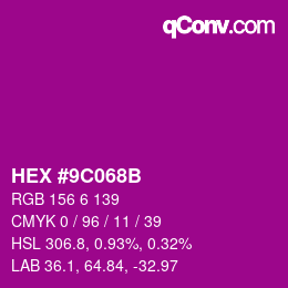 Color code: HEX #9C068B | qconv.com