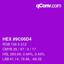 カラーコード: HEX #9C06D4 | qconv.com