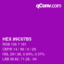Color code: HEX #9C07B5 | qconv.com