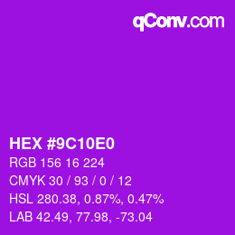 Color code: HEX #9C10E0 | qconv.com