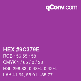 Color code: HEX #9C379E | qconv.com