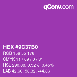 Color code: HEX #9C37B0 | qconv.com